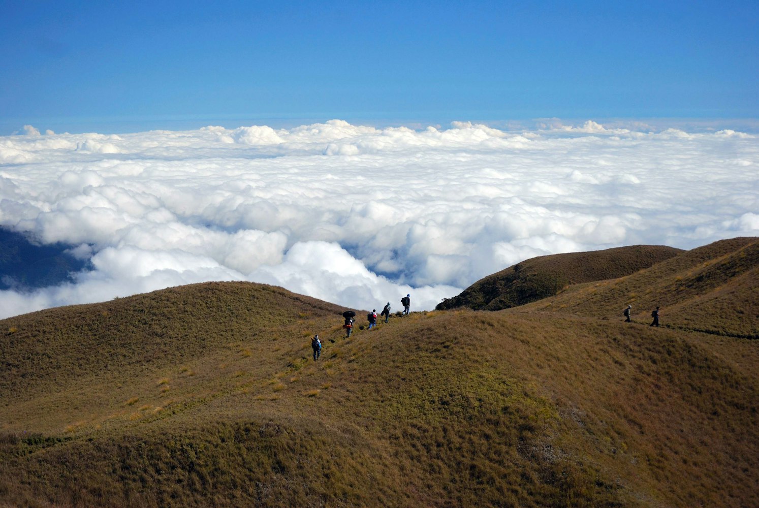 「三清山旅游攻略及花费」〃三清山旅游攻略一日游路线