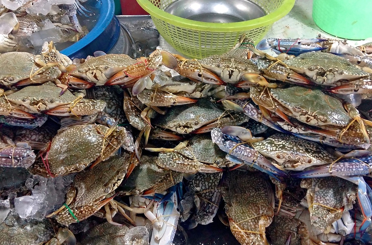 海南三亚有什么好玩的景点〃海南三亚5个必去的景点