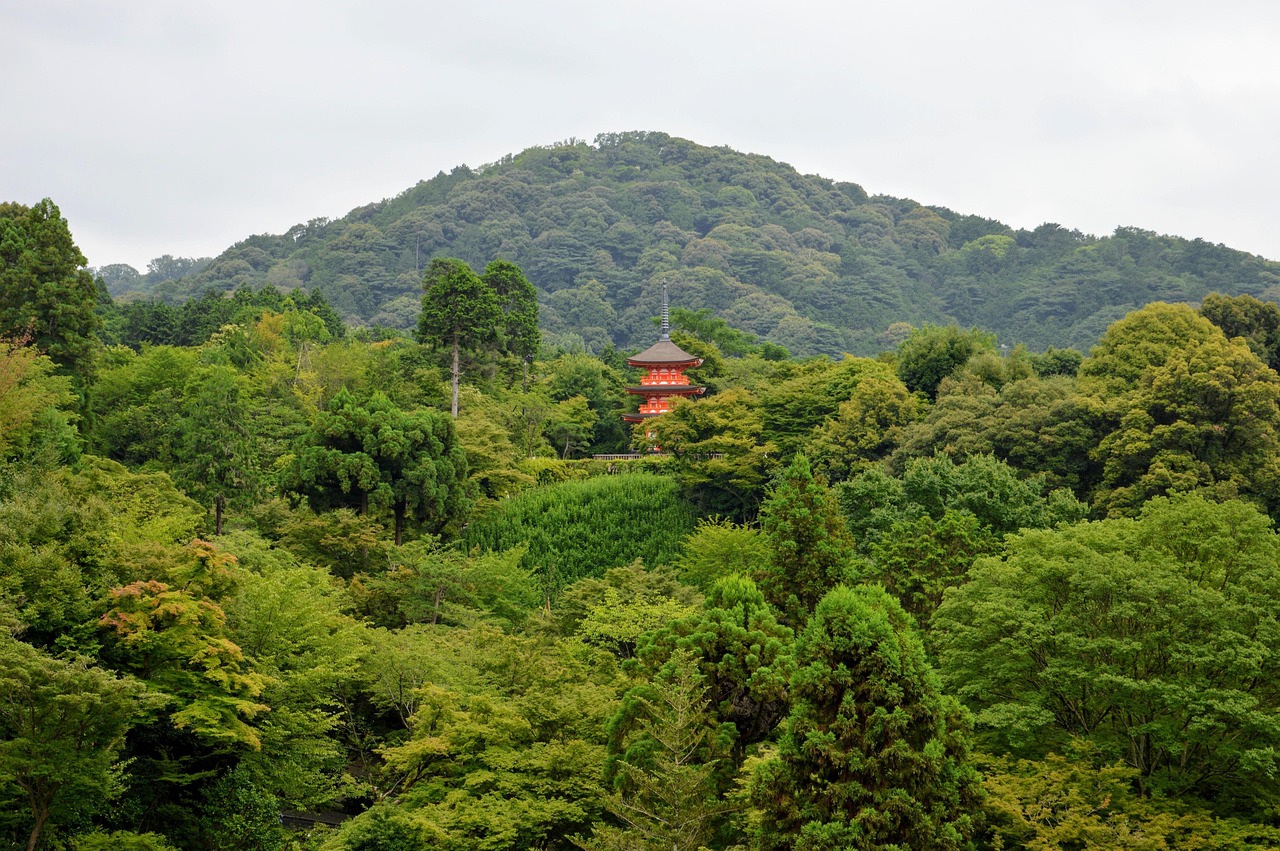 呀诺达雨林文化旅游区的实用信息.呀诺达雨林有哪些必玩项目 呀诺达雨林文化旅游区的实用信息.呀诺达雨林有哪些必玩项目