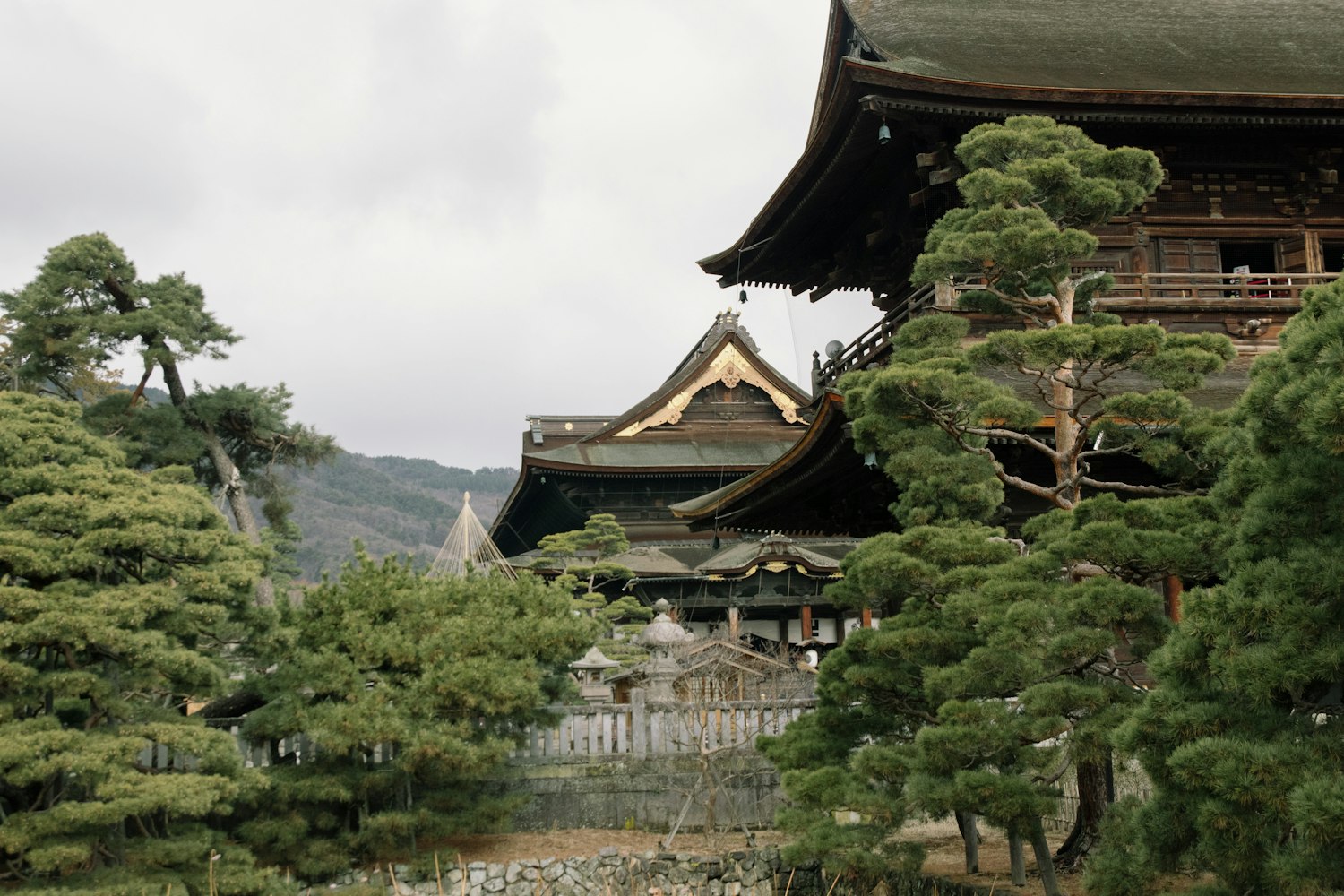 「沈阳免费景点大全一日游」〃沈阳免费旅游景点攻略一日游